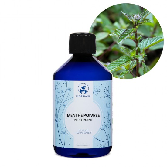 Mentă Organică